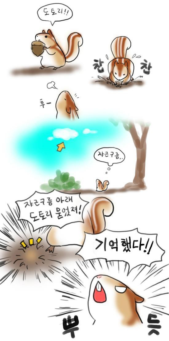 쟈근 구름 아래 도토리 묻었져! | 인스티즈