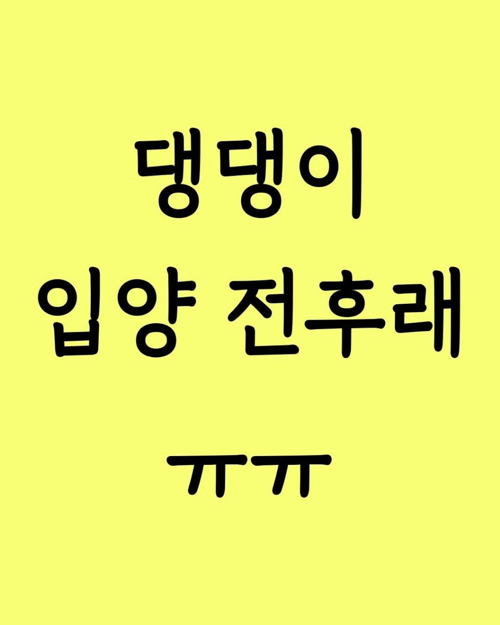 댕댕이 입양전후 | 인스티즈