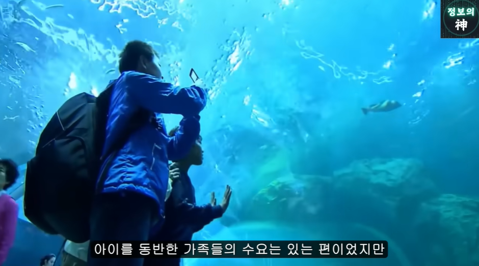 여수섬박람회가 잼버리 냄새 나는 이유 | 인스티즈