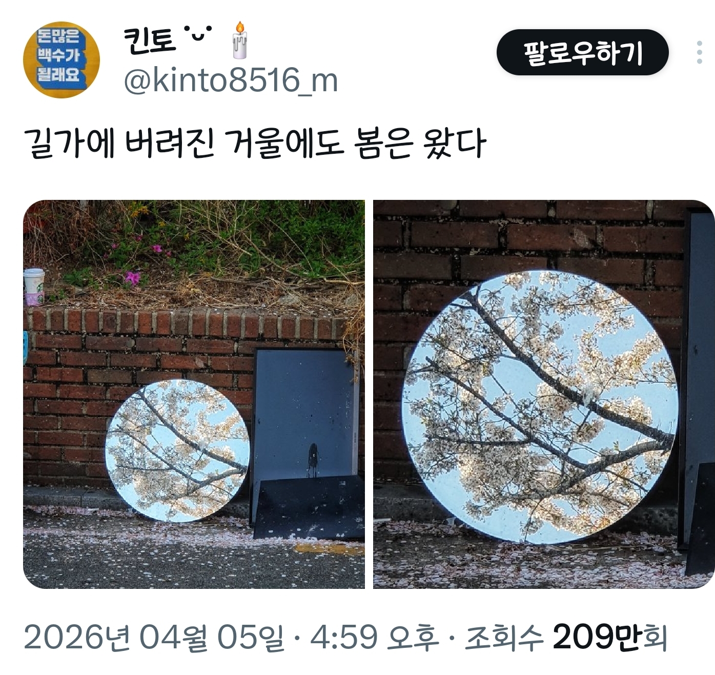봄이니까☺️ 올려보는 X(트위터) 모음🌸 | 인스티즈