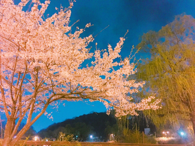 아이폰6로 찍어본 풍경사진 (막올림주의) | 인스티즈