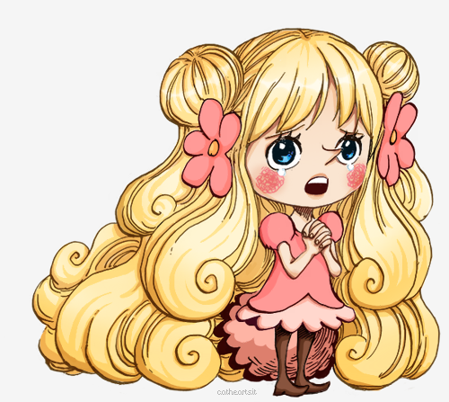 원피스 여캐릭터 甲은? | 인스티즈