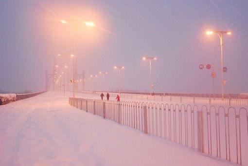 한국 겨울이 정말 좋은데.twt | 인스티즈