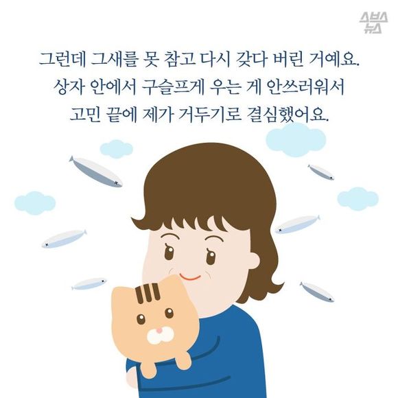  생선 싫어하는 생선 가게 고양이 | 인스티즈