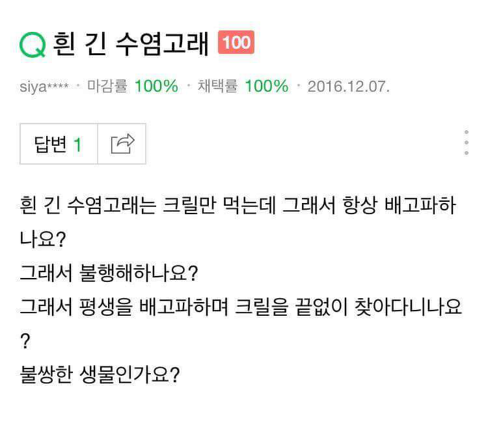 우문에 대한 슬픈 답변 | 인스티즈