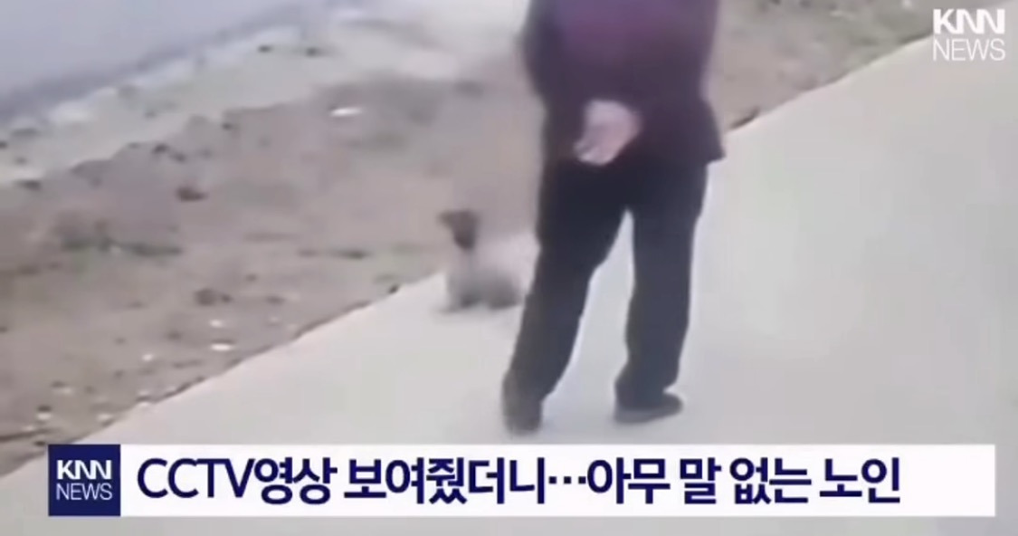 강아지 발로차려다 넘어진 노인(중국임) | 인스티즈