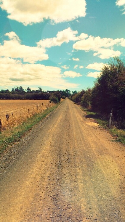 지친 당신을 위로해주는 사진.jpg | 인스티즈