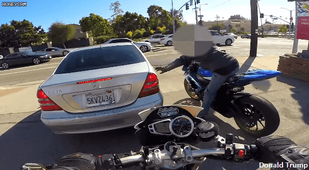 도로의 믓쟁이들.gif | 인스티즈