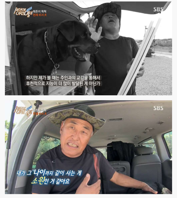신기한 강아지 | 인스티즈
