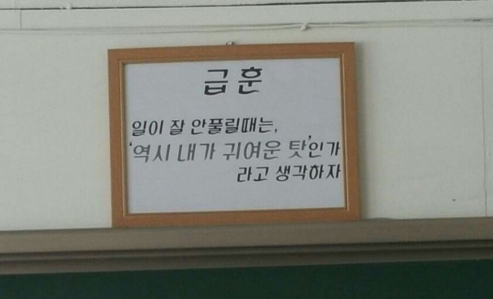 모의고사 망친 게 뭐라고 죽어 사랑스런 베이비.twt | 인스티즈