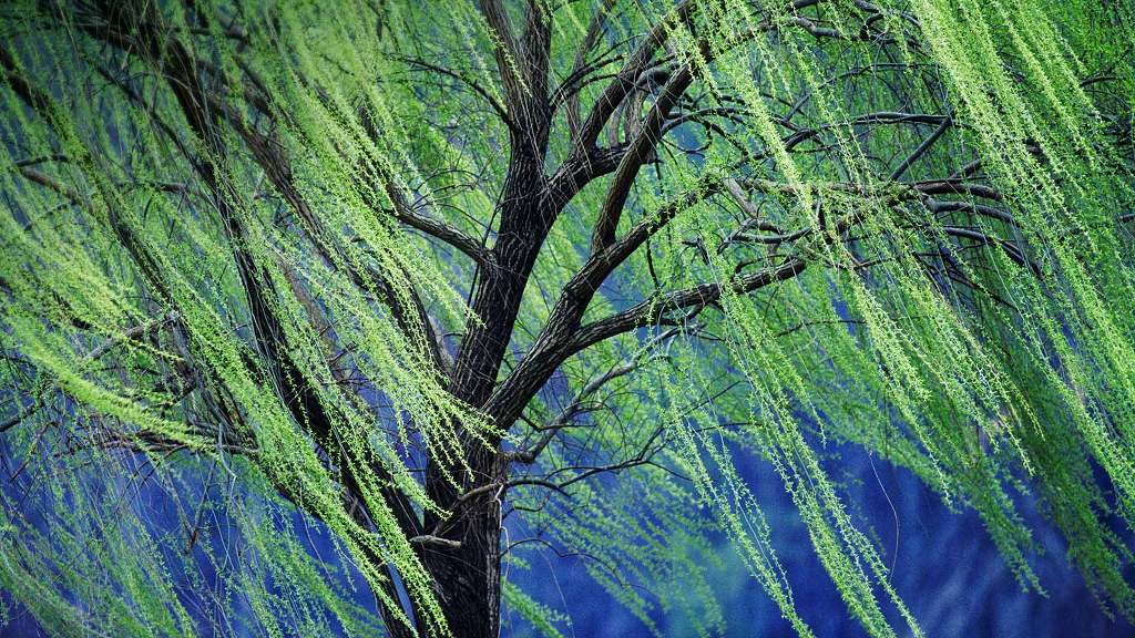 고해상도 컴퓨터 배경화면 381번째 게시물 BGM- Tales Weaver OST - Good evening narvik | 인스티즈