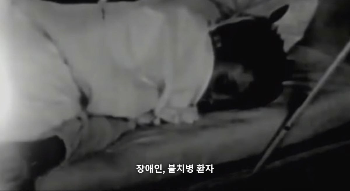 [우영우] 자폐를 최초로 연구한 사람 중에 하나인 한스 아스퍼거는 나치 부역자였습니다 | 인스티즈