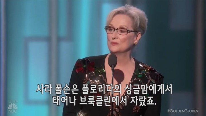 우리나라 연예인들이 보고 느꼈으면 하는 메릴 스트립 수상소감 | 인스티즈