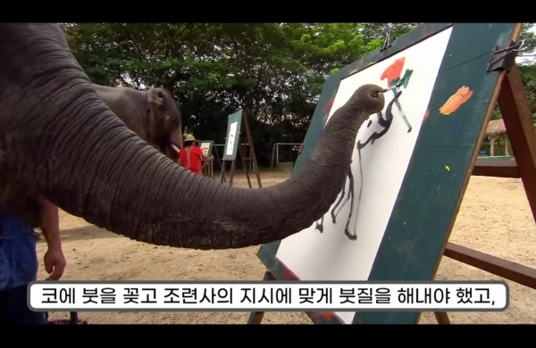 그림그리는 천재 코끼리.gif | 인스티즈
