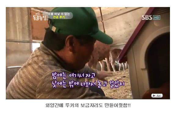 서럽게 우는 강아지 ㅠㅠ | 인스티즈
