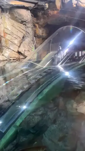 중국 상하이 아쿠아리움 내려가는 에스컬레이터 | 인스티즈