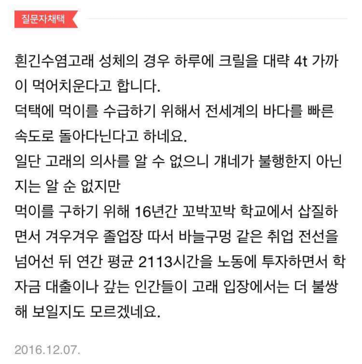 우문에 대한 슬픈 답변 | 인스티즈