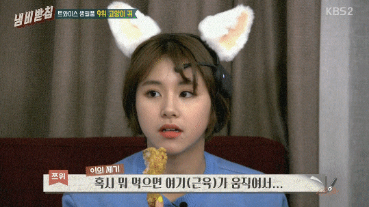 고양이의 마음이 되어버린 트와이스.gif | 인스티즈