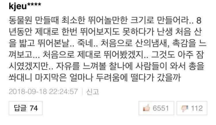 대전동물원의 퓨마 호롱이가 느꼈을 마지막 날 | 인스티즈