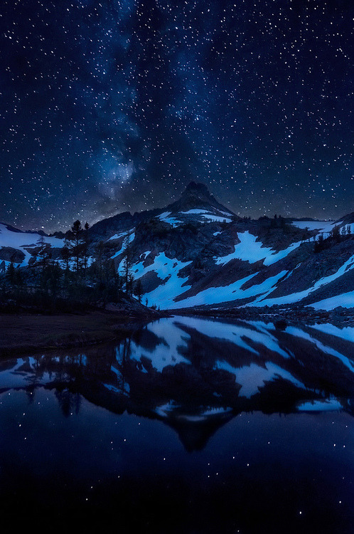 지친 당신을 위로해주는 사진.jpg | 인스티즈