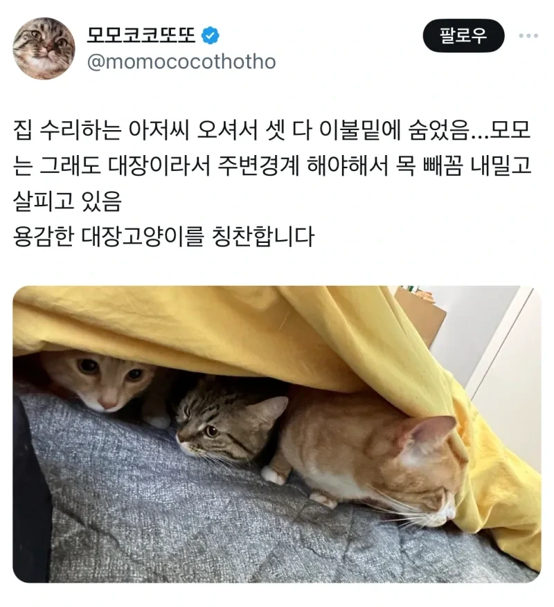집 수리하는 아저씨 오셔서 셋 다 숨음 | 인스티즈