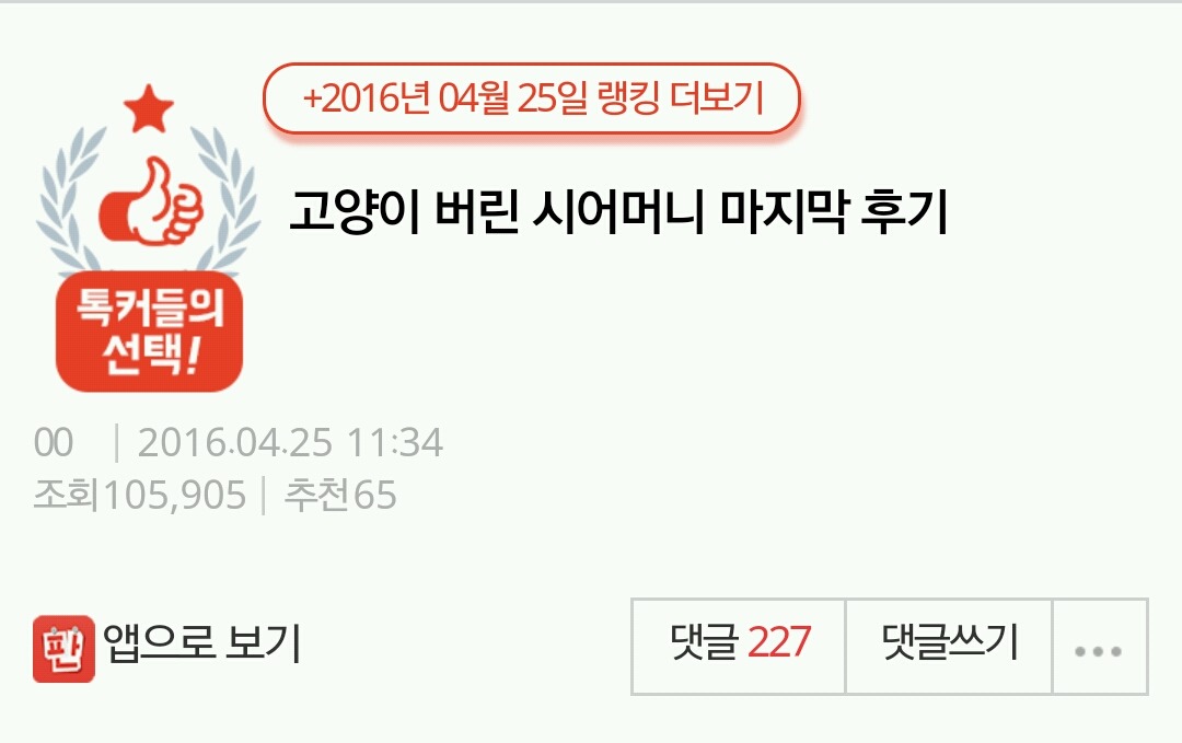 고양이 버린 시어머니 마지막 후기 | 인스티즈