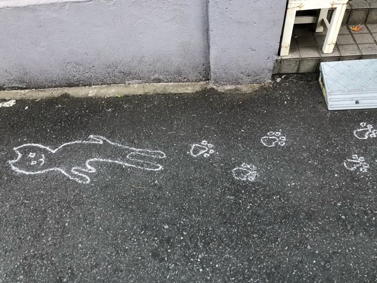 낭만이 왔나 봄 | 인스티즈