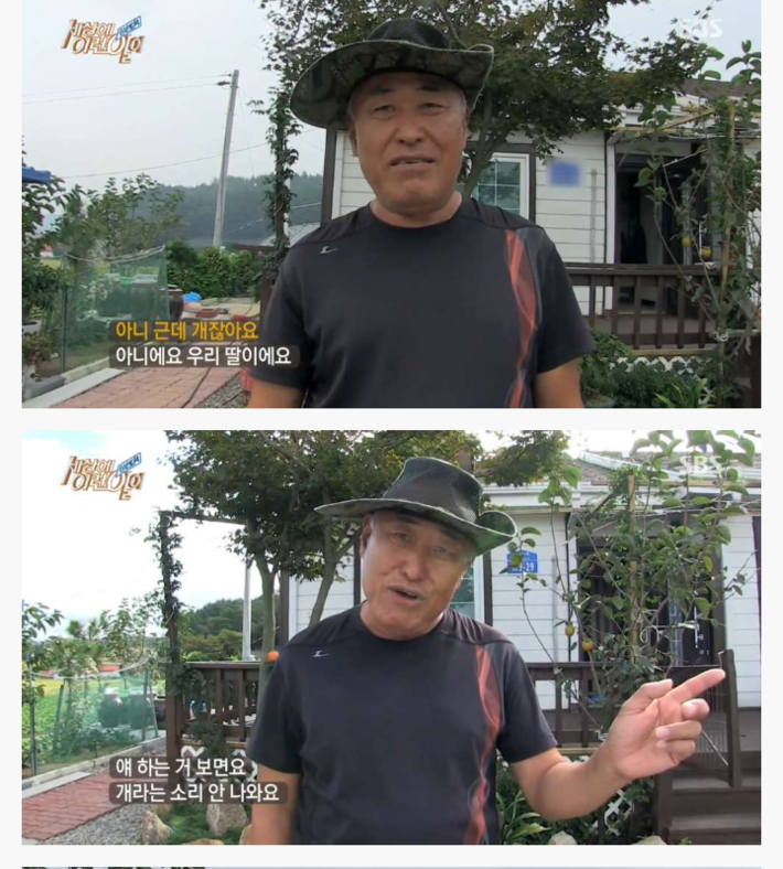 신기한 강아지 | 인스티즈