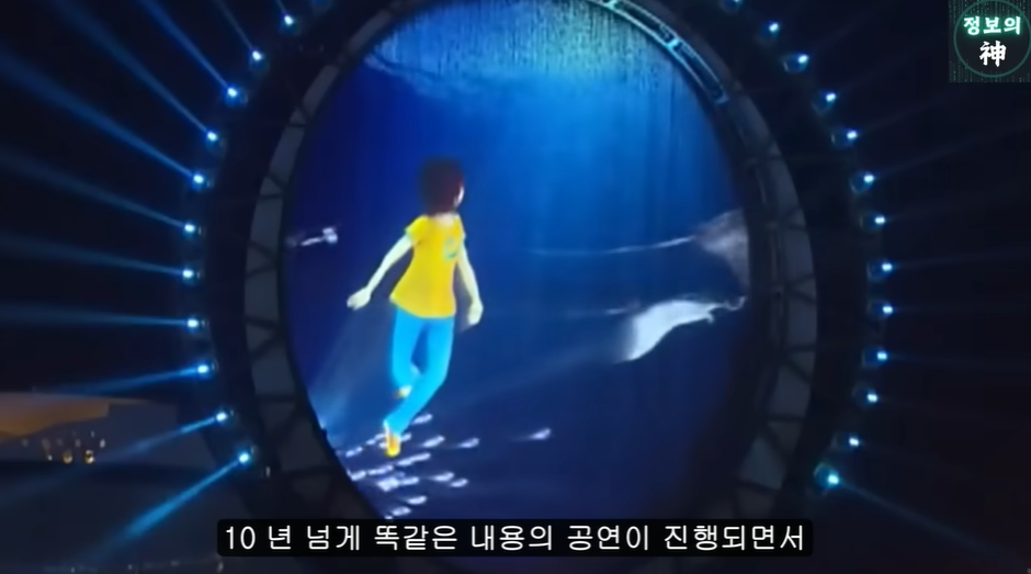 여수섬박람회가 잼버리 냄새 나는 이유 | 인스티즈