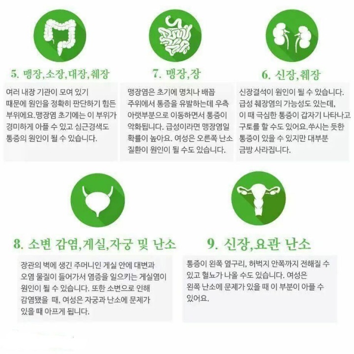 일반인도 쉽게 이해할 수 있는 기본적으로 알아야할 의학 상식&amp;꿀팁 | 인스티즈