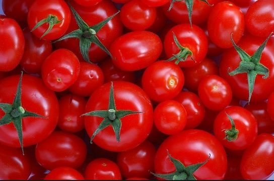 남자 정력과 발기에 좋은 채소.jpg | 인스티즈