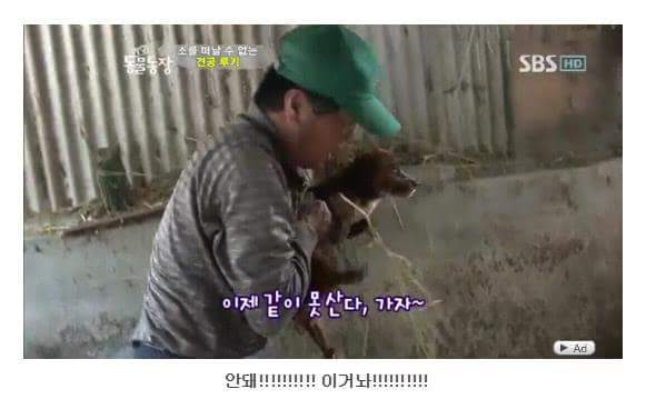 서럽게 우는 강아지 ㅠㅠ | 인스티즈