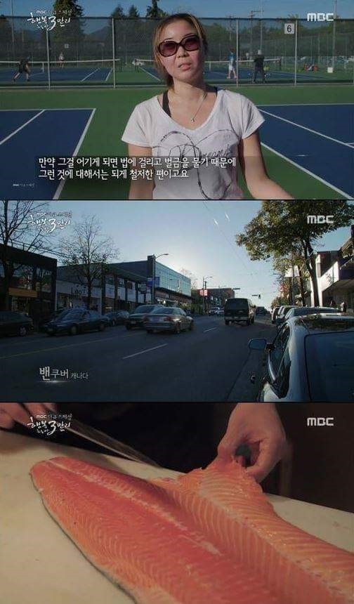 해외취업의 현실 jpg | 인스티즈