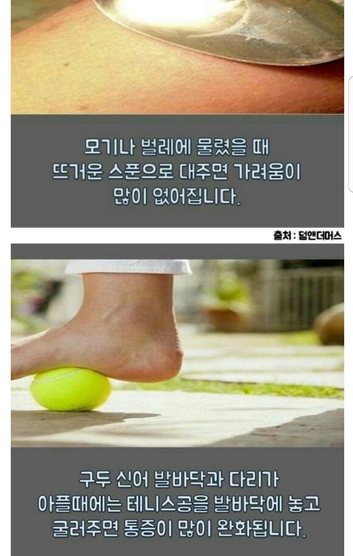 일반인도 쉽게 이해할 수 있는 기본적으로 알아야할 의학 상식&amp;꿀팁 | 인스티즈