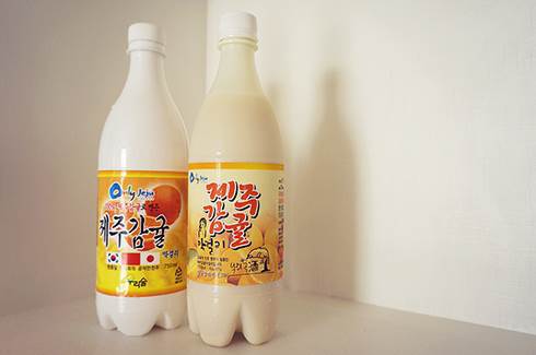 제주도 막걸리.jpg | 인스티즈
