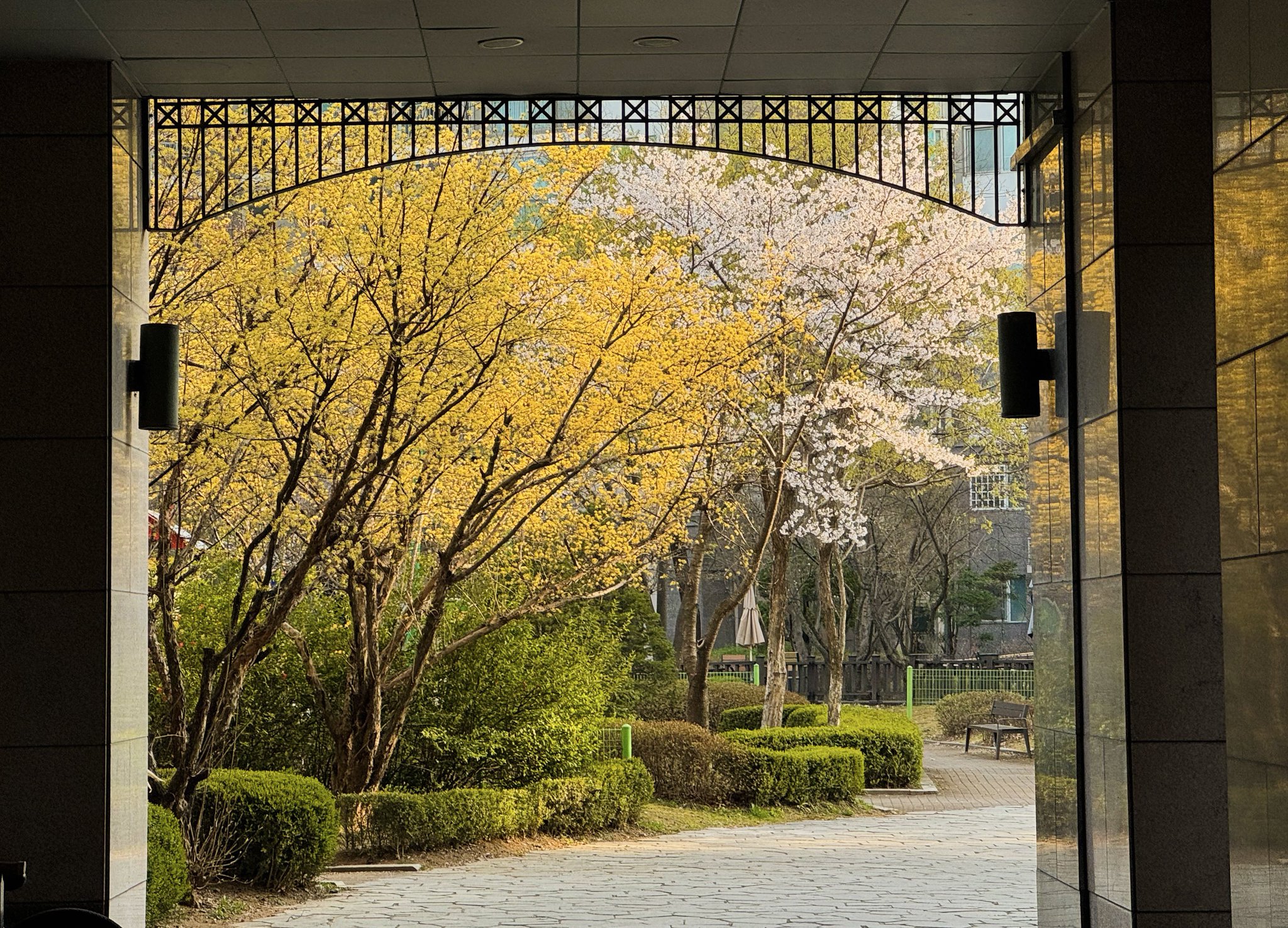 봄이니까☺️ 올려보는 X(트위터) 모음🌸 | 인스티즈