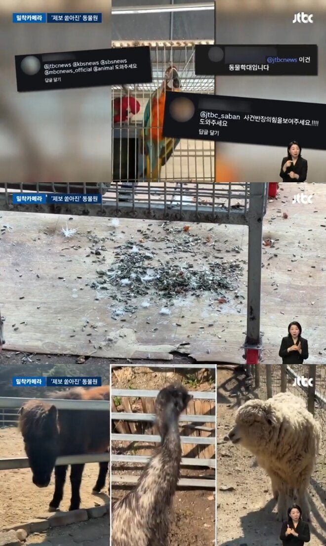 "아이들 보는데, 산 병아리 뱀이 꿀꺽"…구미 동물원 이래도 되나 | 인스티즈