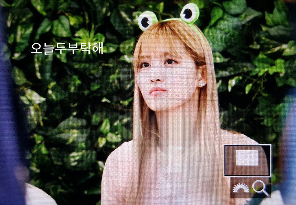오늘자 트와이스 모모 | 인스티즈