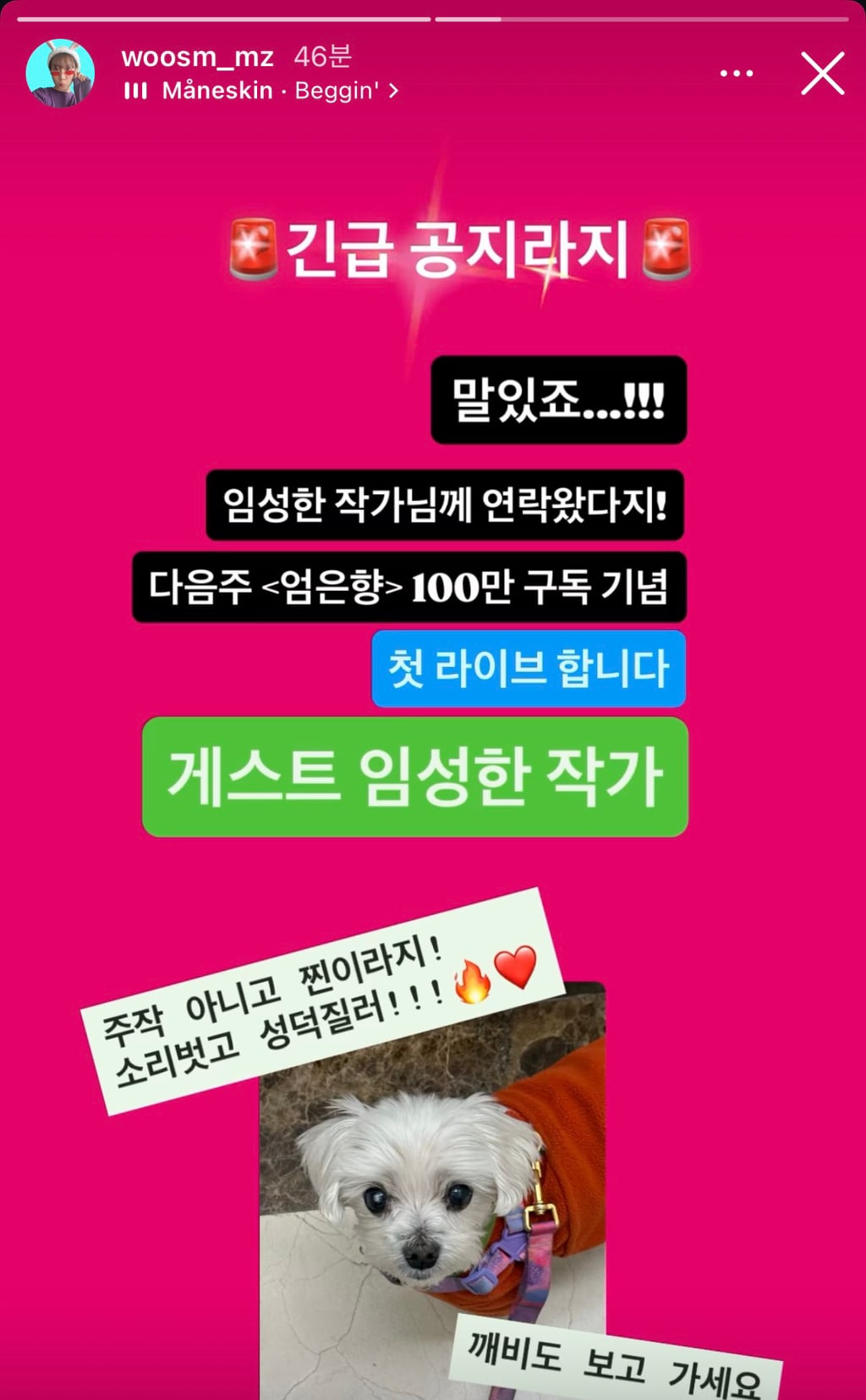 드디어 성덕 된 백만유튜버 엄은향.insta | 인스티즈