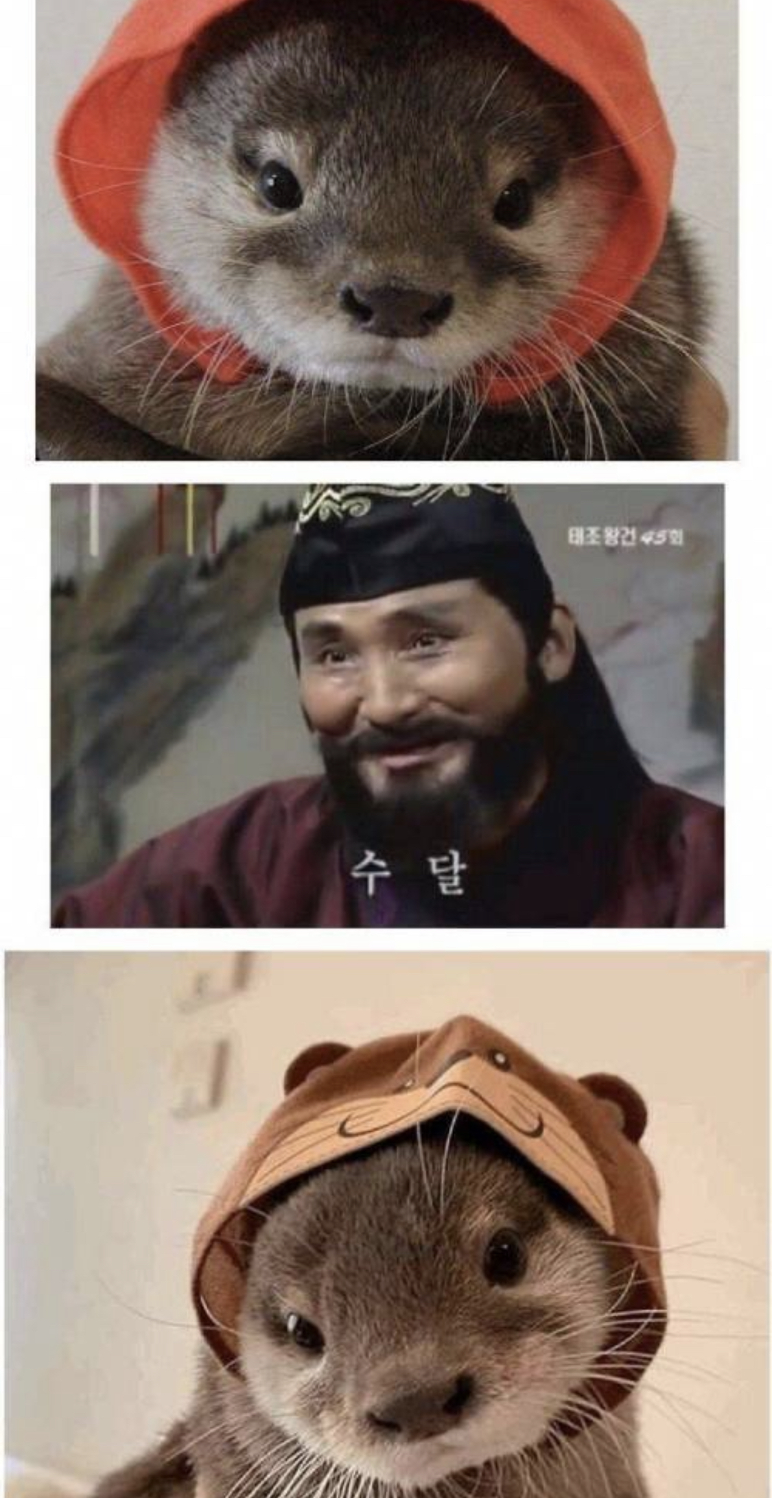 소소한 여캡 | 인스티즈