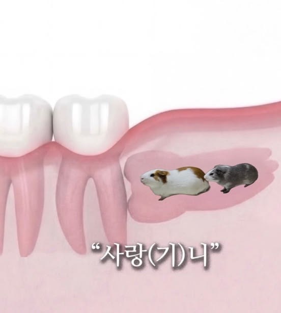 낭만이 왔나 봄 | 인스티즈