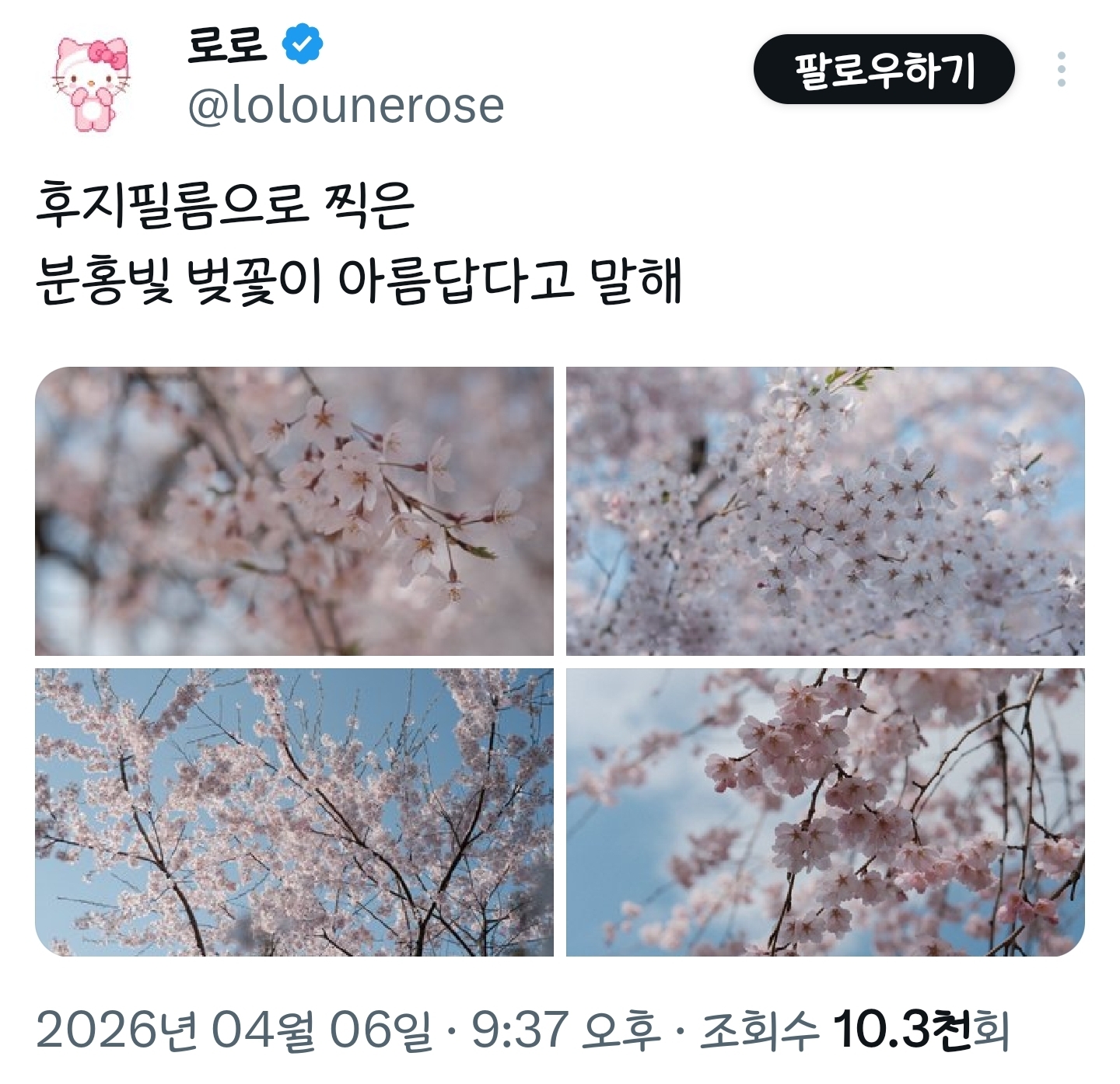 봄이니까☺️ 올려보는 X(트위터) 모음🌸 | 인스티즈