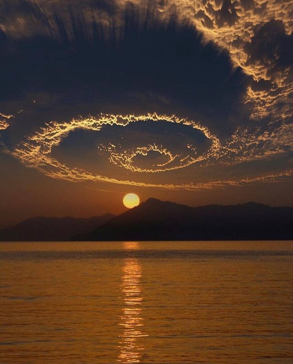 봄이니까☺️ 올려보는 X(트위터) 모음🌸 | 인스티즈