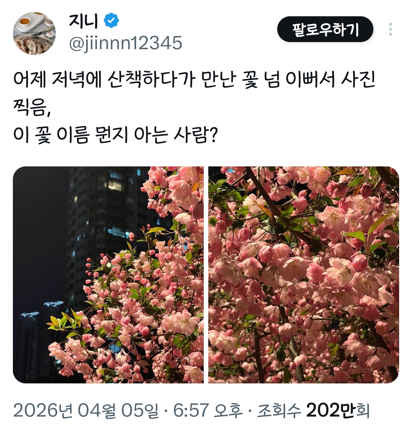 봄이니까☺️ 올려보는 X(트위터) 모음🌸 | 인스티즈