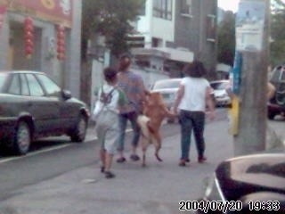 내문서 大방출 | 인스티즈