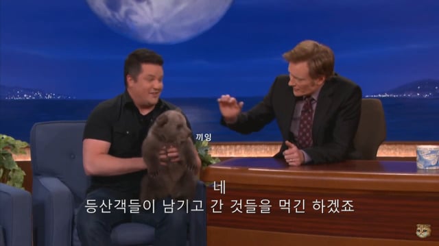 생후 11주된 아기 불곰의 충격적인 귀여움(코난 오브라이언 쇼) | 인스티즈