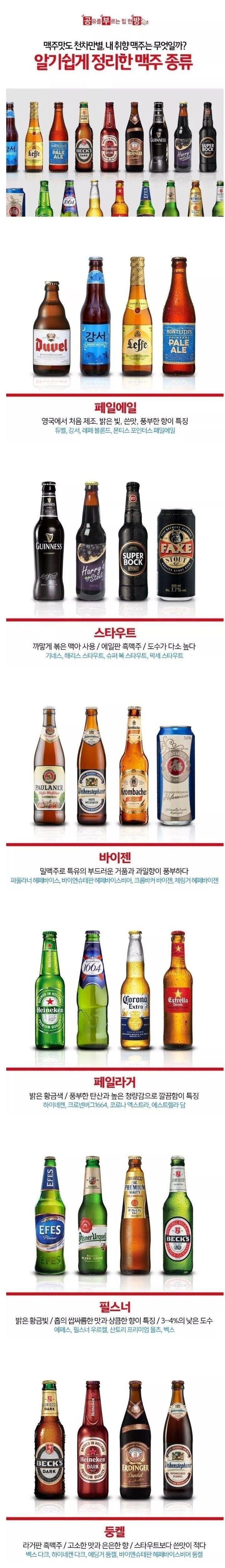 맥주와 안주.jpg | 인스티즈