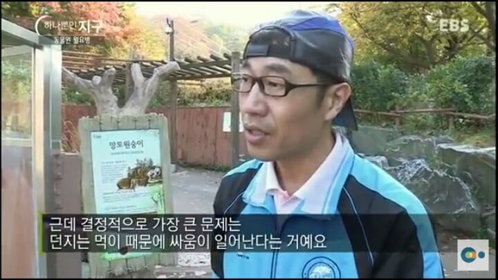 동물원 동물들이 월요병 생기는 이유 | 인스티즈