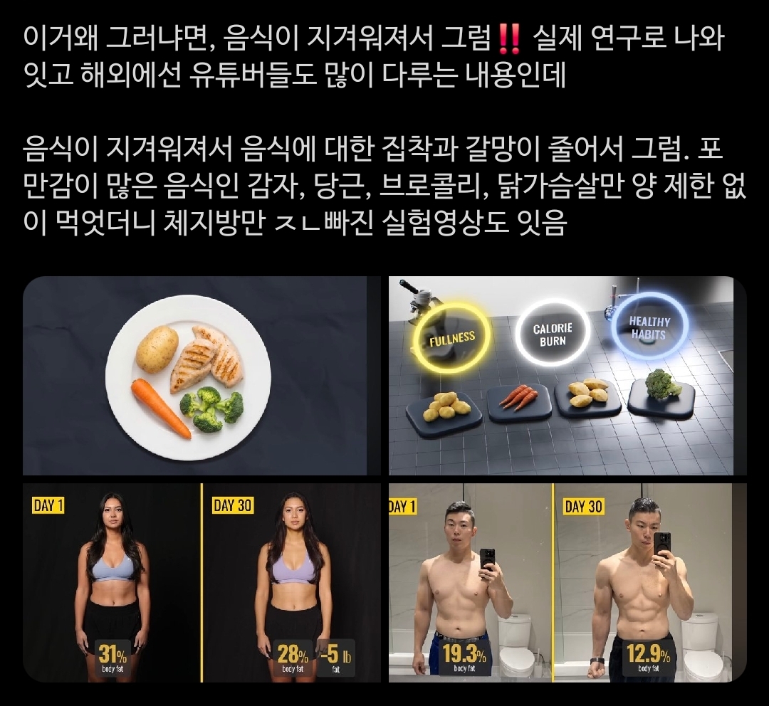 결국 뚱띠들은 식사가 맛있는걸 먹는 시간이란 생각을 버려야 살빠지는거 같애 | 인스티즈