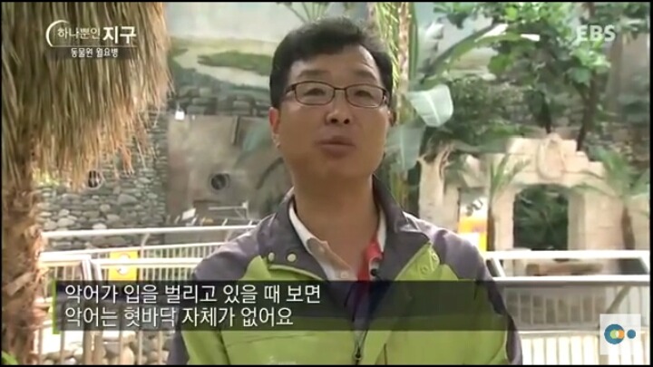 동물원 동물들이 월요병 생기는 이유 | 인스티즈